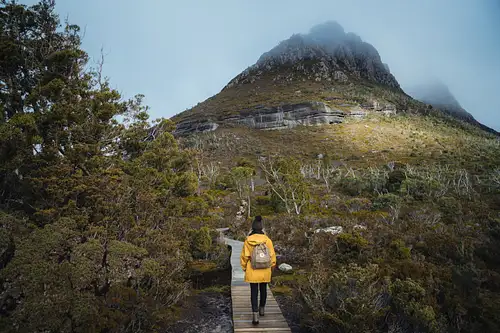 Cradle Mountain Explorer: Hobart to Launceston | One way