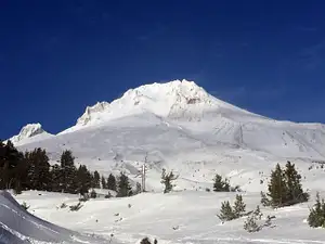 Mount Hood, Columbia River Gorge & Hood River Valley Scenic Day Tour from Portland