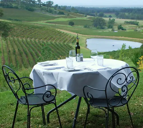 Hunter Valley scenic flight