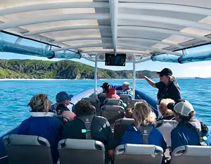 dolphin watching tours in Queensland
