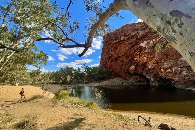 larapinta hiking tours