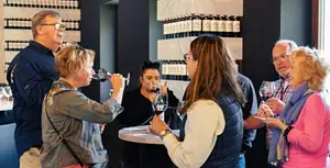 Medoc and Saint-Emilion Wine Tour | From Bordeaux