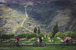 Bike tour in New Zealand