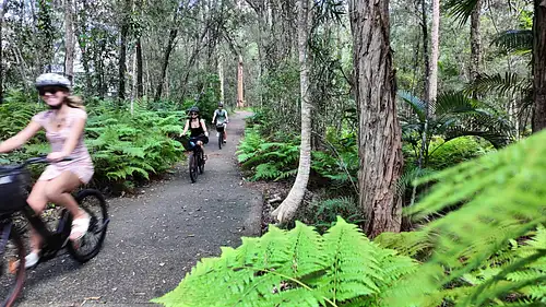 Noosa Lookouts & Sealed Paths eBike Tour
