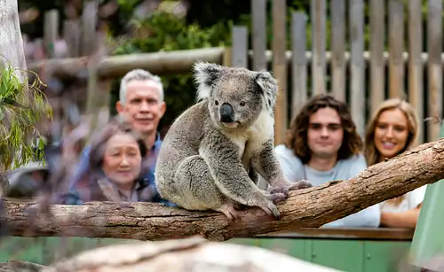 nature tours melbourne