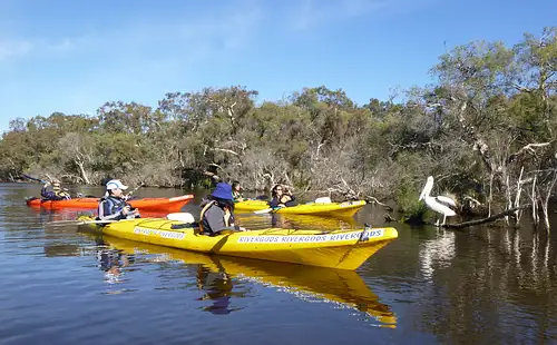 Canning River Kayak Tour