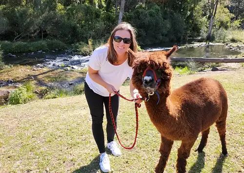 Lamington National Park, O'Reilly's & Vineyard Tour Deal