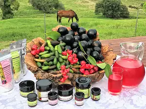 Outback Tasting Tour