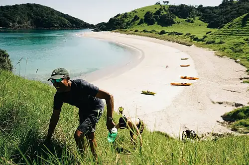 Island Hiki.jpg