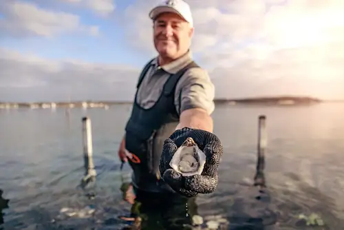 Coffin Bay Oysters & Sightseeing 4WD Tour