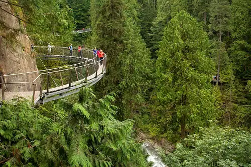 Grouse Mountain & Capilano Suspension Bridge Guided Day Tour from Vancouver