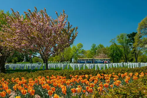 Arlington National Cemetery Tram Tour Experience