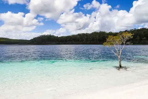 13 Day North Queensland Adventure | Intrepid Travel
