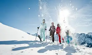 Swiss Ski Experience from Zurich
