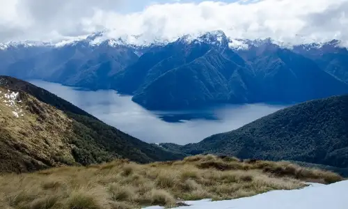 Fiordland