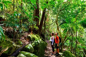 5 Day Walk Queensland's Scenic Rim