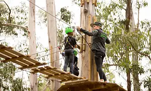 Lorne Short Circuit Treetop Adventure