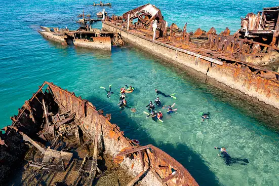 Top Things To Do In & Around SEQ